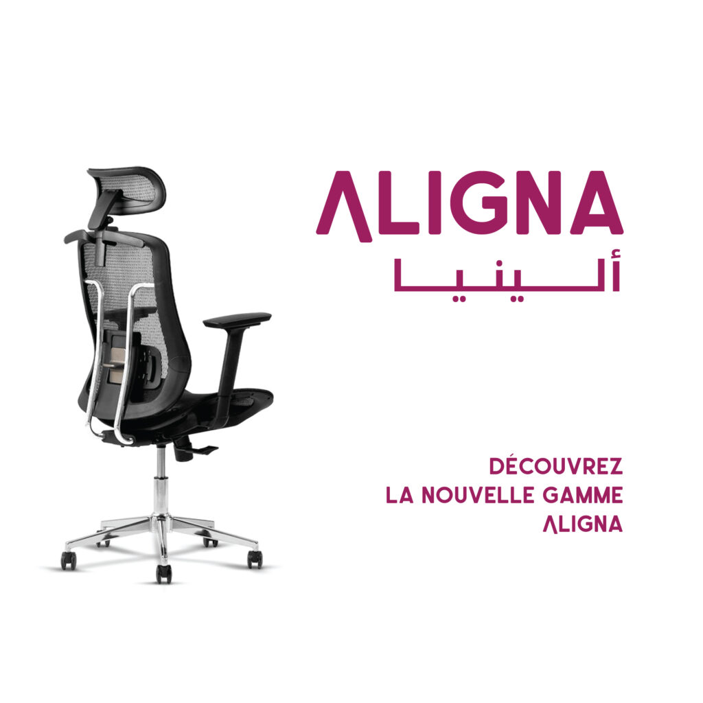 aligna-chaise-ergonomique-mobix-dz-3